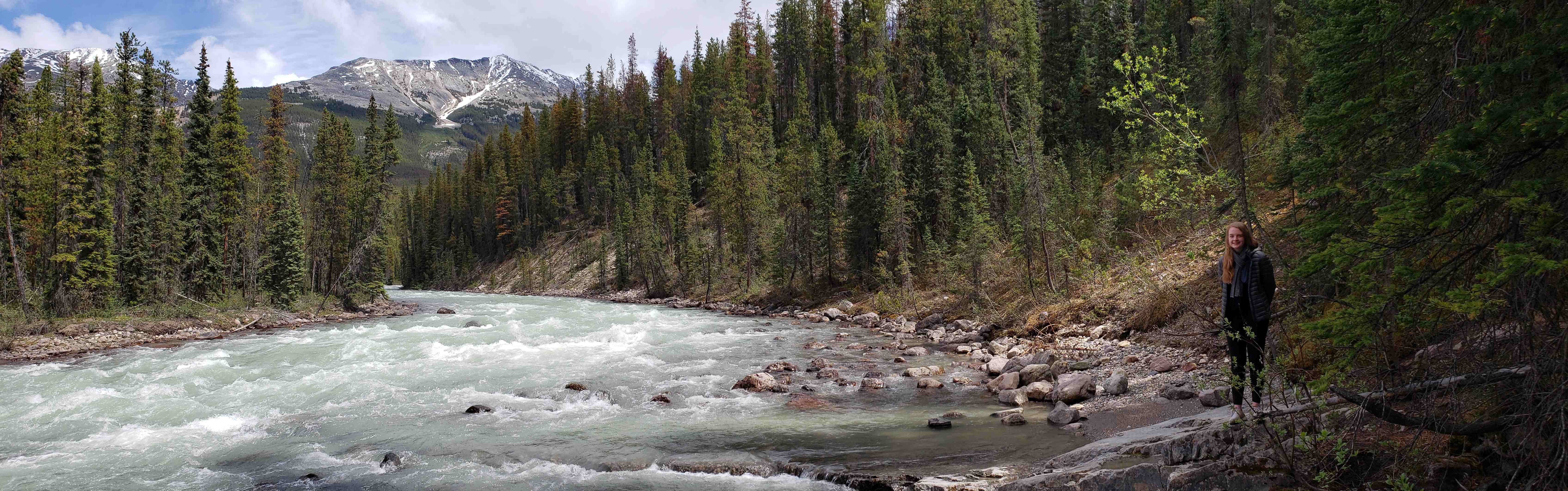 2019-06-06 ALCAN Jasper NP Sunwapta Falls Jane.jpg